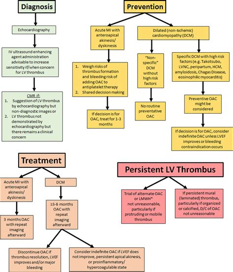 anticoagulation for lv thrombus|lv thrombus treatment guidelines nhs.